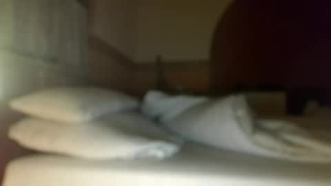 Snapshot of dreambob chatting on December 1, 3:11 am Dreambob online show from December 1, 3:11 am