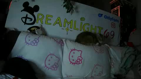 Dreamlight online show from January 26, 7:53 am