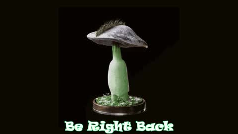 Tara  Sonny online show from October 2, 12:17 am