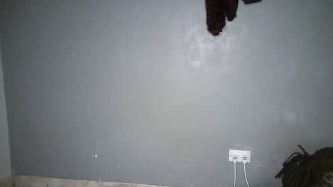 drip_swt online show from November 6, 9:43 am