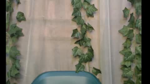 Snapshot of dripqueenx chatting on September 28, 11:04 am linda online show from September 28, 11:04 am