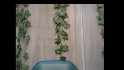 Snapshot of dripqueenx chatting on October 3, 8:50 pm linda online show from October 3, 8:50 pm