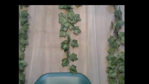 Snapshot of dripqueenx chatting on October 6, 2:09 am linda online show from October 6, 2:09 am