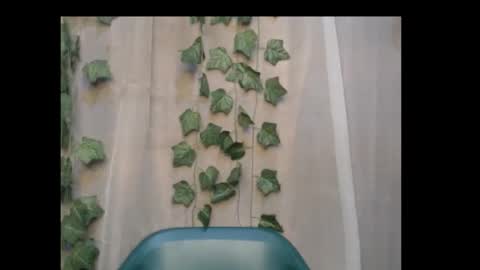 Snapshot of dripqueenx chatting on October 8, 11:57 pm linda online show from October 8, 11:57 pm
