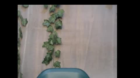 Snapshot of dripqueenx chatting on October 18, 9:59 pm linda online show from October 18, 9:59 pm