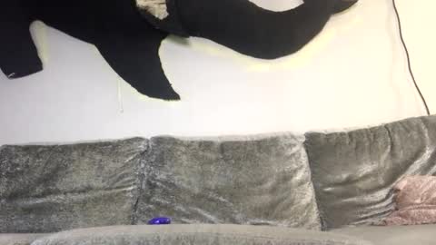 Snapshot of drobbb656 chatting on February 8, 3:21 am 2xTheTrouble online show from February 8, 3:21 am