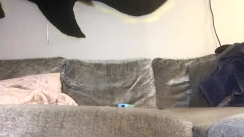 Snapshot of drobbb656 chatting on February 26, 1:26 am 2xTheTrouble online show from February 26, 1:26 am