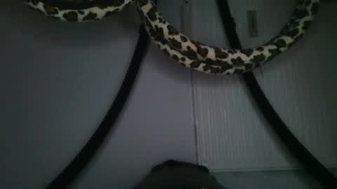 Snapshot of drolyts chatting on February 25, 3:05 am drolyts online show from February 25, 3:05 am