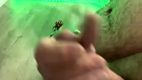 Snapshot of droppingloads82 chatting on January 1, 5:43 am droppingloads82 online show from January 1, 5:43 am