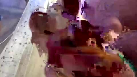 Snapshot of droppingloads82 chatting on February 1, 7:15 am droppingloads82 online show from February 1, 7:15 am