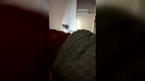 Snapshot of drzinedaj chatting on March 8, 2:59 am drzinedaj online show from March 8, 2:59 am