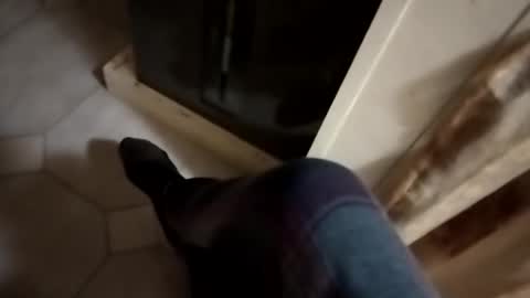 dthedog12 online show from October 24, 1:03 am