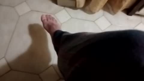 dthedog12 online show from November 4, 11:48 pm