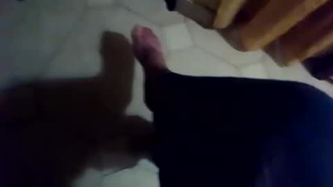 dthedog12 online show from November 25, 6:41 pm