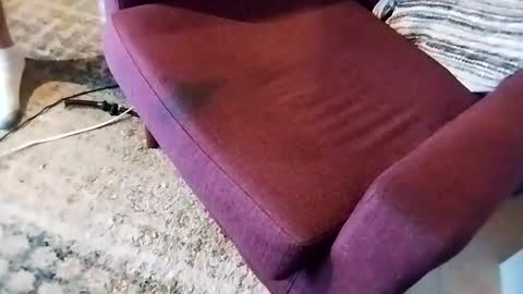 dtrain6969420 online show from March 7, 2:46 am