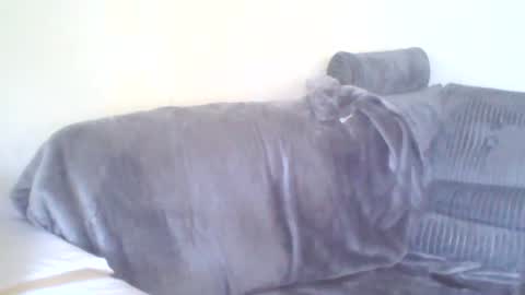 Snapshot of dukenucum73 chatting on June 15, 4:42 pm chris online show from June 15, 4:42 pm