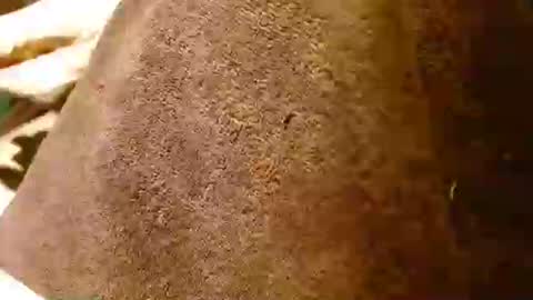 Snapshot of dunany101 chatting on January 28, 12:57 am dunany101 online show from January 28, 12:57 am