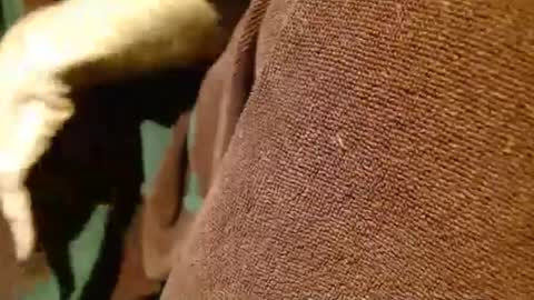 Snapshot of dunany101 chatting on March 5, 12:49 am dunany101 online show from March 5, 12:49 am