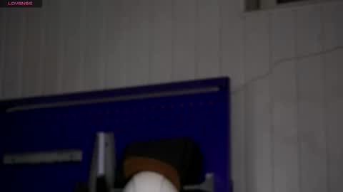 Snapshot of dustyn_fox chatting on November 23, 3:34 pm Dustyn online show from November 23, 3:34 pm