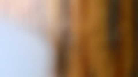 dVe1oPe online show from October 14, 9:21 am