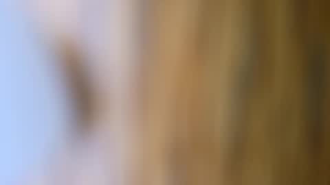 dVe1oPe online show from October 17, 9:56 am