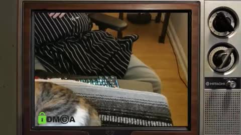 Snapshot of e8849c chatting on November 8, 11:03 pm e8849c online show from November 8, 11:03 pm