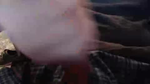 eat_a_peach2 online show from November 12, 11:43 am