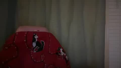 americnbarbie online show from November 21, 2:21 am