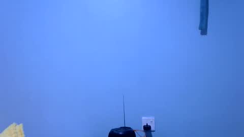 Snapshot of ebonybloom01 chatting on November 26, 5:36 pm ebonybloom01 online show from November 26, 5:36 pm