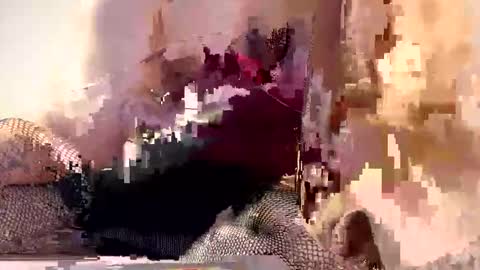 AliceTurner online show from March 17, 7:17 pm