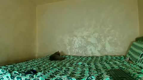 Nomyx  OF check online show from November 14, 5:55 pm