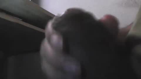 EddiesCock69 online show from November 5, 9:20 am