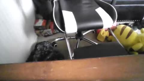 Snapshot of eddy815 chatting on November 24, 10:53 pm eddy815 online show from November 24, 10:53 pm