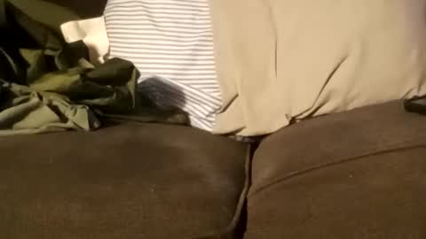 edmore1215 online show from December 11, 3:37 pm