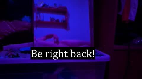 Alex online show from February 3, 2:53 am