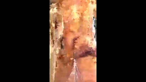 Snapshot of eirickr chatting on January 6, 7:06 pm eirickr online show from January 6, 7:06 pm