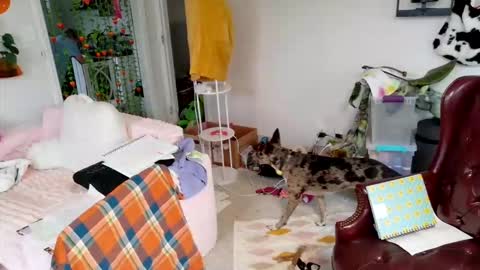 ejrabloom online show from March 16, 7:29 pm