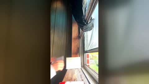 Snapshot of el2ra33fa chatting on April 5, 11:51 am el2ra33fa online show from April 5, 11:51 am