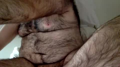 Snapshot of elago chatting on December 23, 3:33 pm elabear online show from December 23, 3:33 pm