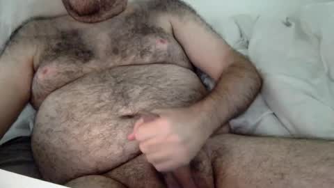 Snapshot of elago chatting on August 2, 4:16 pm elabear online show from August 2, 4:16 pm