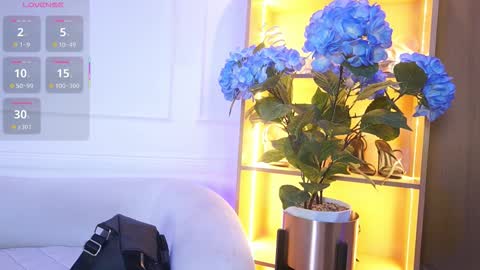 Elasummeer online show from December 2, 11:48 am