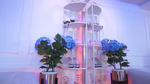 Elasummeer online show from February 13, 11:50 am