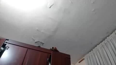 elianis598477 online show from February 10, 10:08 am