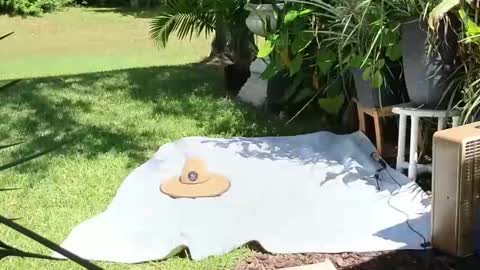 Snapshot of eliberator chatting on September 21, 5:03 pm eliberator online show from September 21, 5:03 pm