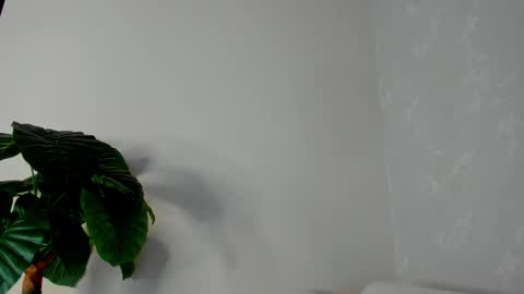 My name is ElizaPVT is open online show from February 22, 11:03 pm