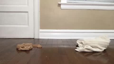 Bi Bro online show from October 15, 4:56 am