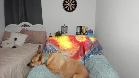 Snapshot of emberpheonixxx chatting on January 17, 3:12 am Ember Pheonixxx online show from January 17, 3:12 am