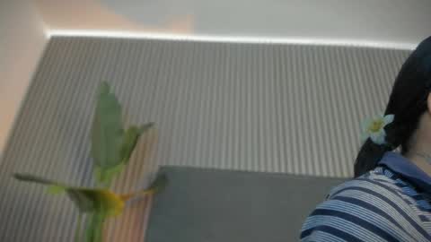 Snapshot of emelie_89 chatting on May 13, 9:17 am emelie_89 online show from May 13, 9:17 am
