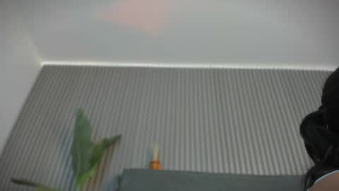 Snapshot of emelie_89 chatting on June 3, 11:35 am emelie_89 online show from June 3, 11:35 am