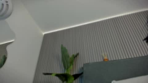Snapshot of emelie_89 chatting on June 6, 11:48 am emelie_89 online show from June 6, 11:48 am